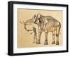 Skeletons of Man and Elephant, 1860-Science Source-Framed Giclee Print