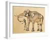 Skeletons of Man and Elephant, 1860-Science Source-Framed Giclee Print