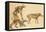 Skeletons of Man, Dog, Wild Boar, 1860-Science Source-Framed Stretched Canvas