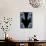 Skeletons, X-ray Artwork-David Mack-Framed Stretched Canvas displayed on a wall