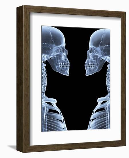 Skeletons, X-ray Artwork-David Mack-Framed Premium Photographic Print