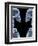 Skeletons, X-ray Artwork-David Mack-Framed Premium Photographic Print