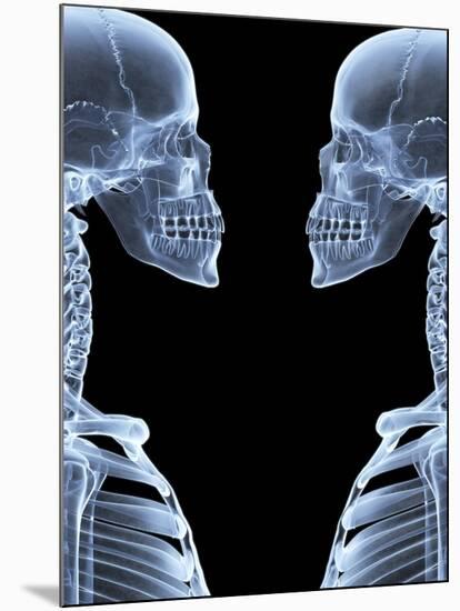 Skeletons, X-ray Artwork-David Mack-Mounted Photographic Print