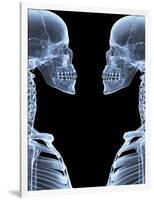 Skeletons, X-ray Artwork-David Mack-Framed Photographic Print