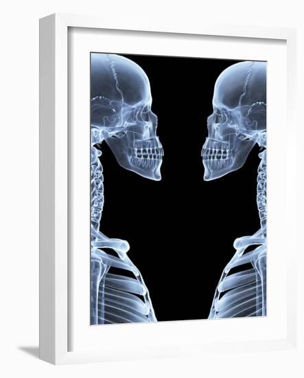 Skeletons, X-ray Artwork-David Mack-Framed Photographic Print