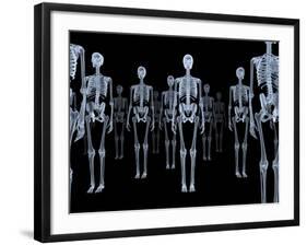 Skeletons, X-ray Artwork-David Mack-Framed Photographic Print