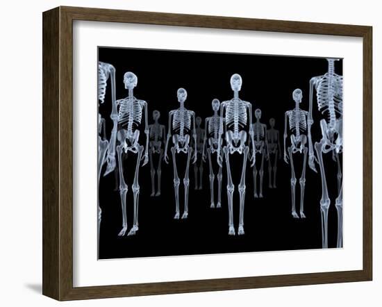 Skeletons, X-ray Artwork-David Mack-Framed Photographic Print