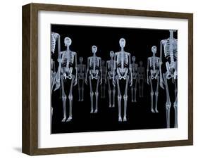 Skeletons, X-ray Artwork-David Mack-Framed Photographic Print