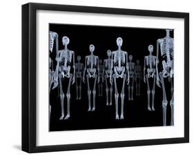 Skeletons, X-ray Artwork-David Mack-Framed Photographic Print