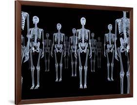 Skeletons, X-ray Artwork-David Mack-Framed Photographic Print