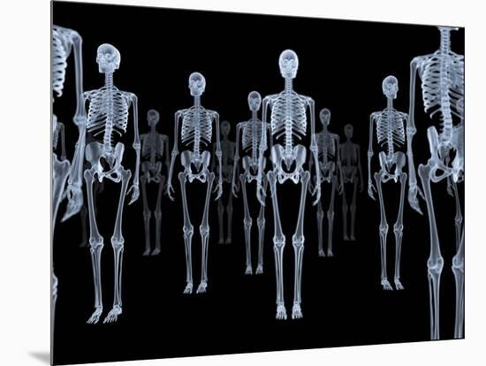 Skeletons, X-ray Artwork-David Mack-Mounted Photographic Print