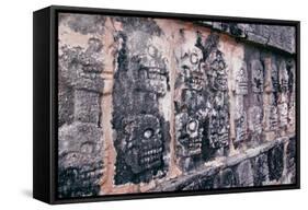 Skeletons-null-Framed Stretched Canvas