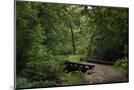 Wood Mount