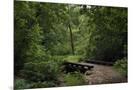 Wood Mount