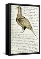 Sketch by William Clark of Cock of the Plains in the Lewis and Clark Expedition Diary-null-Framed Stretched Canvas