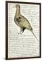 Sketch by William Clark of Cock of the Plains in the Lewis and Clark Expedition Diary-null-Framed Giclee Print