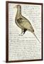 Sketch by William Clark of Cock of the Plains in the Lewis and Clark Expedition Diary-null-Framed Giclee Print