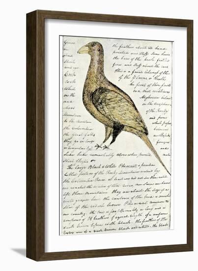 Sketch by William Clark of Cock of the Plains in the Lewis and Clark Expedition Diary-null-Framed Giclee Print