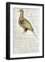 Sketch by William Clark of Cock of the Plains in the Lewis and Clark Expedition Diary-null-Framed Giclee Print