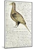Sketch by William Clark of Cock of the Plains in the Lewis and Clark Expedition Diary-null-Mounted Giclee Print