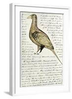 Sketch by William Clark of Cock of the Plains in the Lewis and Clark Expedition Diary-null-Framed Giclee Print