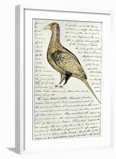 Sketch by William Clark of Cock of the Plains in the Lewis and Clark Expedition Diary-null-Framed Giclee Print