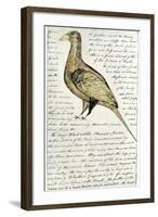 Sketch by William Clark of Cock of the Plains in the Lewis and Clark Expedition Diary-null-Framed Giclee Print