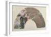 Sketch for a Fan, C.1879 (Pastel and Chalk)-Edgar Degas-Framed Giclee Print