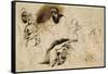 Sketch for Sardanapalus-Ferdinand Victor Eugene Delacroix-Framed Stretched Canvas