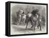 Sketch from The Horse Fair-Rosa Bonheur-Framed Stretched Canvas