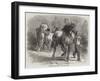 Sketch from The Horse Fair-Rosa Bonheur-Framed Giclee Print