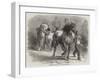 Sketch from The Horse Fair-Rosa Bonheur-Framed Giclee Print