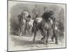Sketch from The Horse Fair-Rosa Bonheur-Mounted Giclee Print
