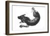 Sketch in Motion - Snug-Manny Woodard-Framed Giclee Print