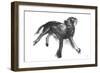 Sketch in Motion - Stretch-Manny Woodard-Framed Giclee Print