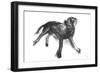 Sketch in Motion - Stretch-Manny Woodard-Framed Giclee Print