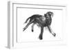 Sketch in Motion - Stretch-Manny Woodard-Framed Giclee Print