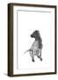 Sketch in Motion - Watch-Manny Woodard-Framed Giclee Print