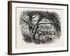 Sketch in the Alameda, Gibraltar-null-Framed Giclee Print