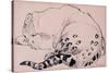 Sketch, Leopard, London Zoo 2005-Joan Thewsey-Stretched Canvas