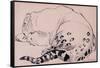 Sketch, Leopard, London Zoo 2005-Joan Thewsey-Framed Stretched Canvas
