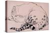 Sketch, Leopard, London Zoo 2005-Joan Thewsey-Stretched Canvas