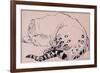 Sketch, Leopard, London Zoo 2005-Joan Thewsey-Framed Giclee Print