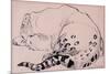 Sketch, Leopard, London Zoo 2005-Joan Thewsey-Mounted Giclee Print