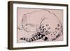 Sketch, Leopard, London Zoo 2005-Joan Thewsey-Framed Giclee Print