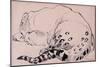 Sketch, Leopard, London Zoo 2005-Joan Thewsey-Mounted Giclee Print