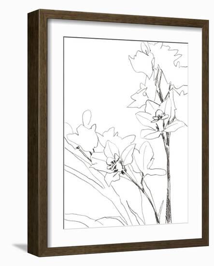 Sketch Lines - Bloom-Kristine Hegre-Framed Giclee Print