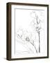 Sketch Lines - Bloom-Kristine Hegre-Framed Giclee Print