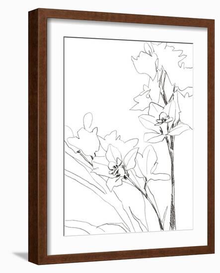 Sketch Lines - Bloom-Kristine Hegre-Framed Giclee Print