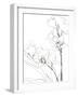 Sketch Lines - Bloom-Kristine Hegre-Framed Giclee Print